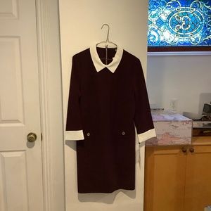 Maroon knee length Peter Pan work dress